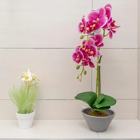 Affittacamere B&a Zara