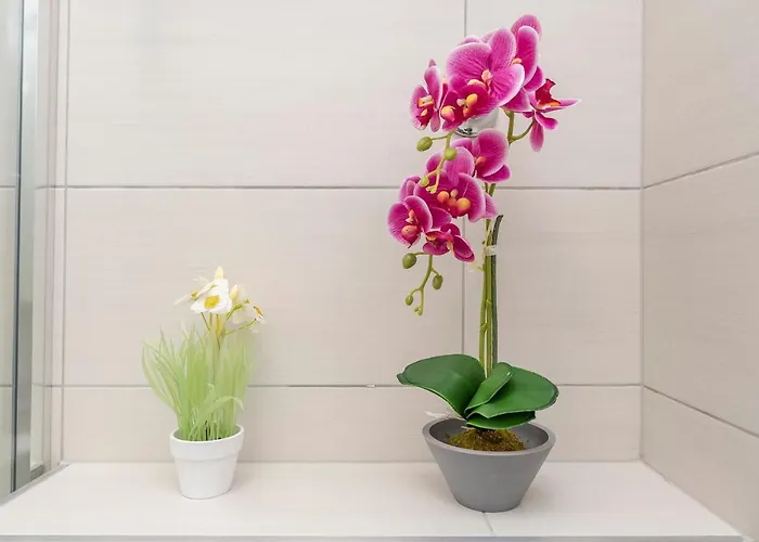 Guest house B&a Zadar